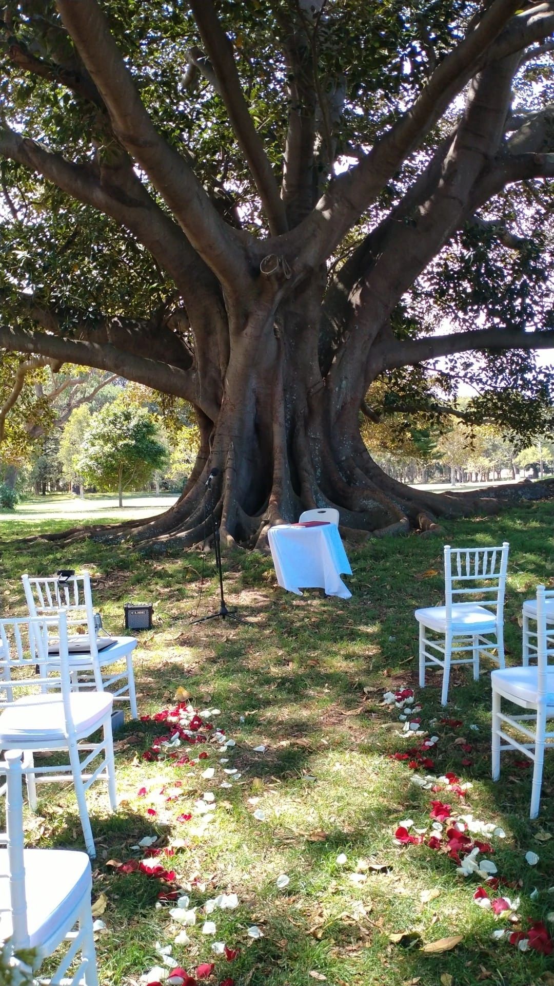 Wedding ceremony with Nancy Mattos
